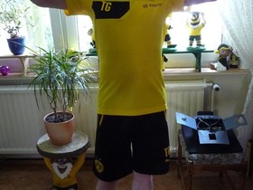 Flagge zeigen