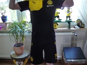 Fahne hoch BVB